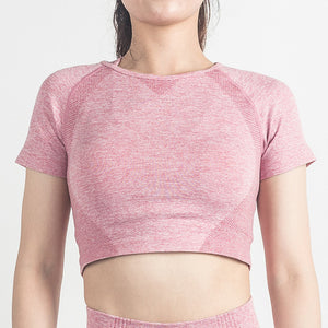 Seamless Yoga Top Fitness Long Sleeve Women Gym Crop Top